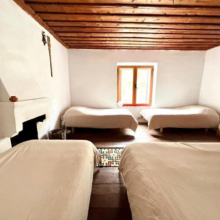 Neomalsore Agrotourism, Komani Lake Hotel Bagian luar foto