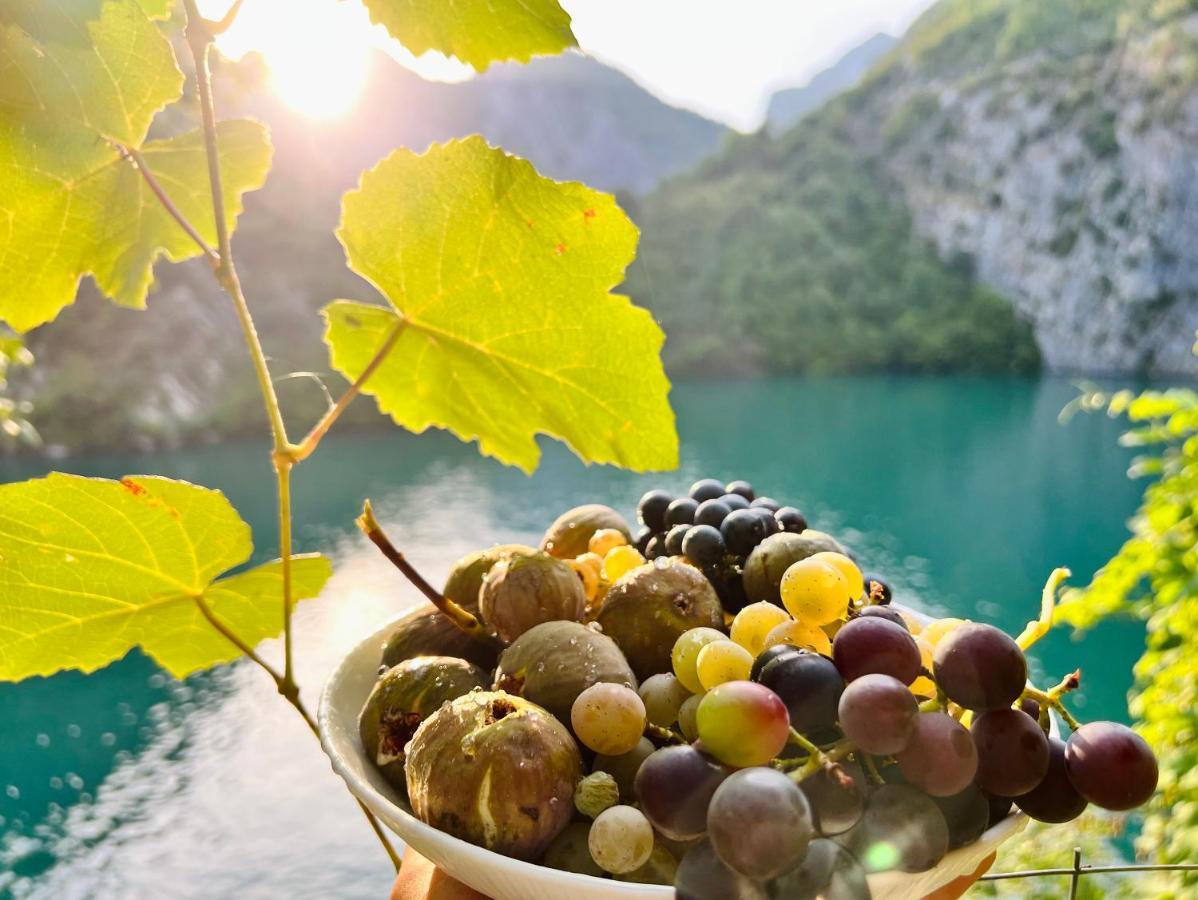 Neomalsore Agrotourism, Komani Lake Hotel Bagian luar foto