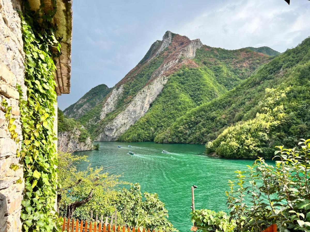 Neomalsore Agrotourism, Komani Lake Hotel Bagian luar foto