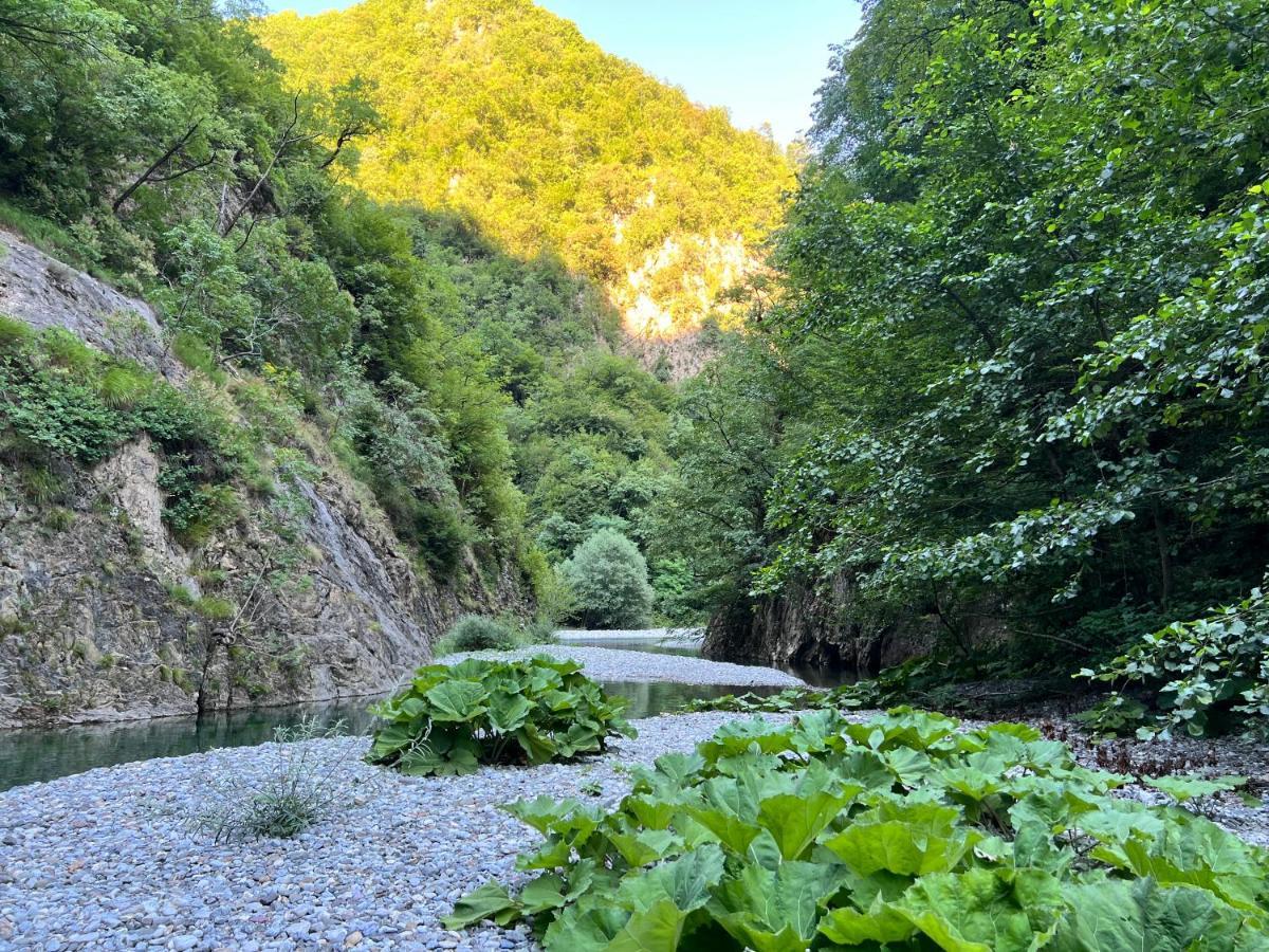 Neomalsore Agrotourism, Komani Lake Hotel Bagian luar foto