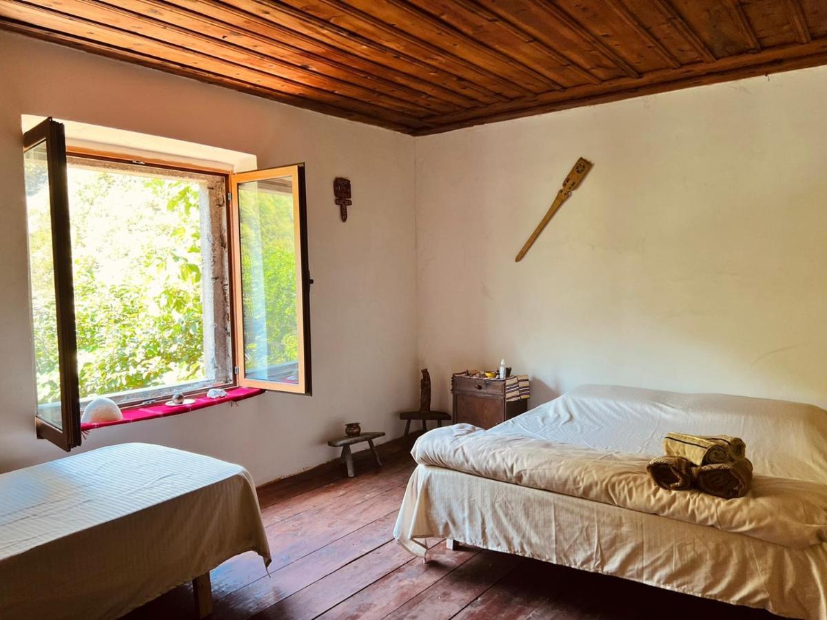 Neomalsore Agrotourism, Komani Lake Hotel Bagian luar foto