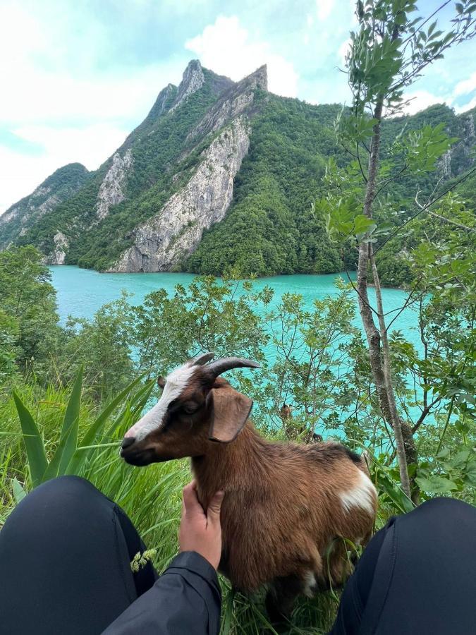 Neomalsore Agrotourism, Komani Lake Hotel Bagian luar foto
