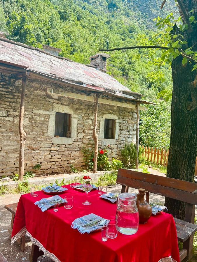 Neomalsore Agrotourism, Komani Lake Hotel Bagian luar foto