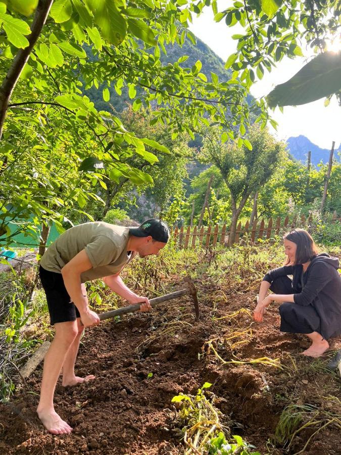 Neomalsore Agrotourism, Komani Lake Hotel Bagian luar foto